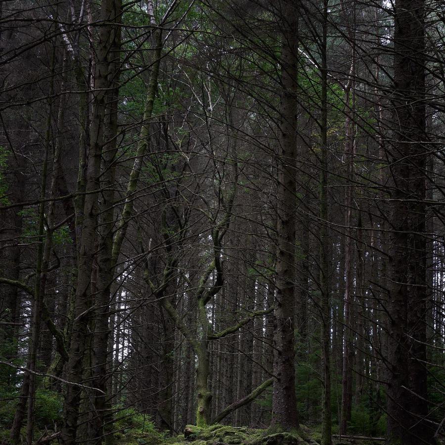 Oakfield Guest House ベトウス・ア・コーエド エクステリア 写真